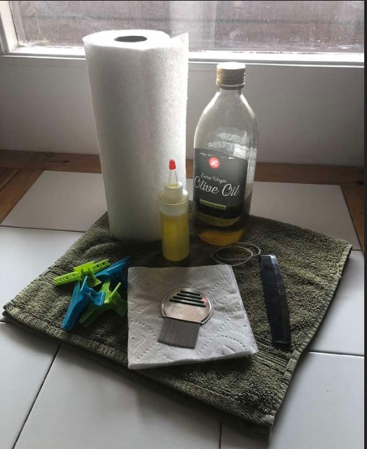 San Jose, CA Inhome Lice Removal Service LiceDoctors